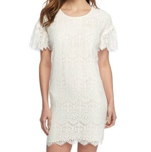 New THE LIMITED Lace Sheath Dress 12P